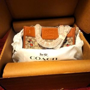 Rogue 25 limited edition mickey & friends Coach